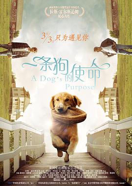 亚洲伊人久久大香线蕉影院