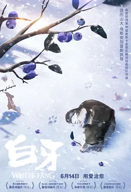 毛片在线观看aa