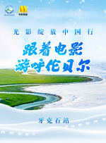 日韩精品不卡