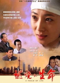 成年人视频在线播放