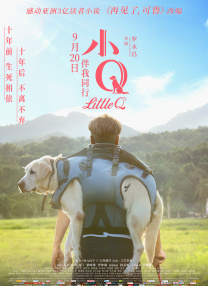 牛牛在线精品免费视频观看