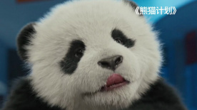 自由恋爱