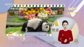 国产日韩欧美不卡在线二区